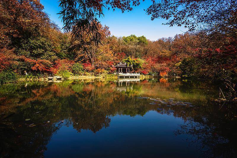 霜降已到<strong></p>
<p>ETH交易官网</strong>，全国红叶上线中！这些“出片宝地”藏不住了