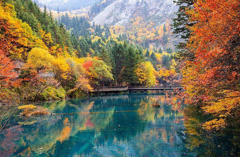 霜降已到<strong></p>
<p>ETH交易官网</strong>，全国红叶上线中！这些“出片宝地”藏不住了