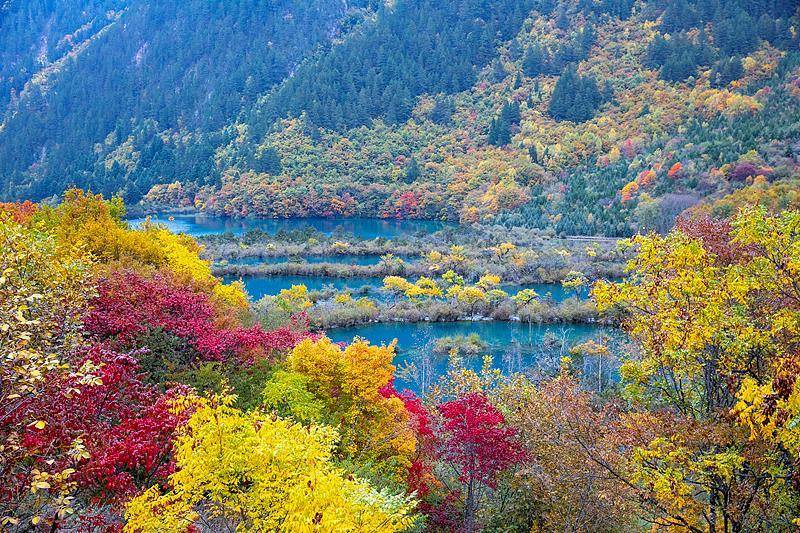 霜降已到<strong></p>
<p>ETH交易官网</strong>，全国红叶上线中！这些“出片宝地”藏不住了