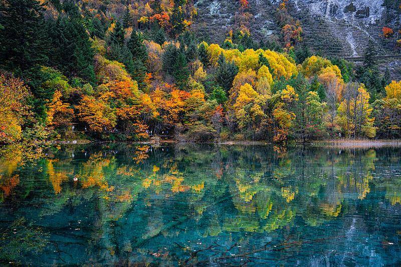 霜降已到<strong></p>
<p>ETH交易官网</strong>，全国红叶上线中！这些“出片宝地”藏不住了