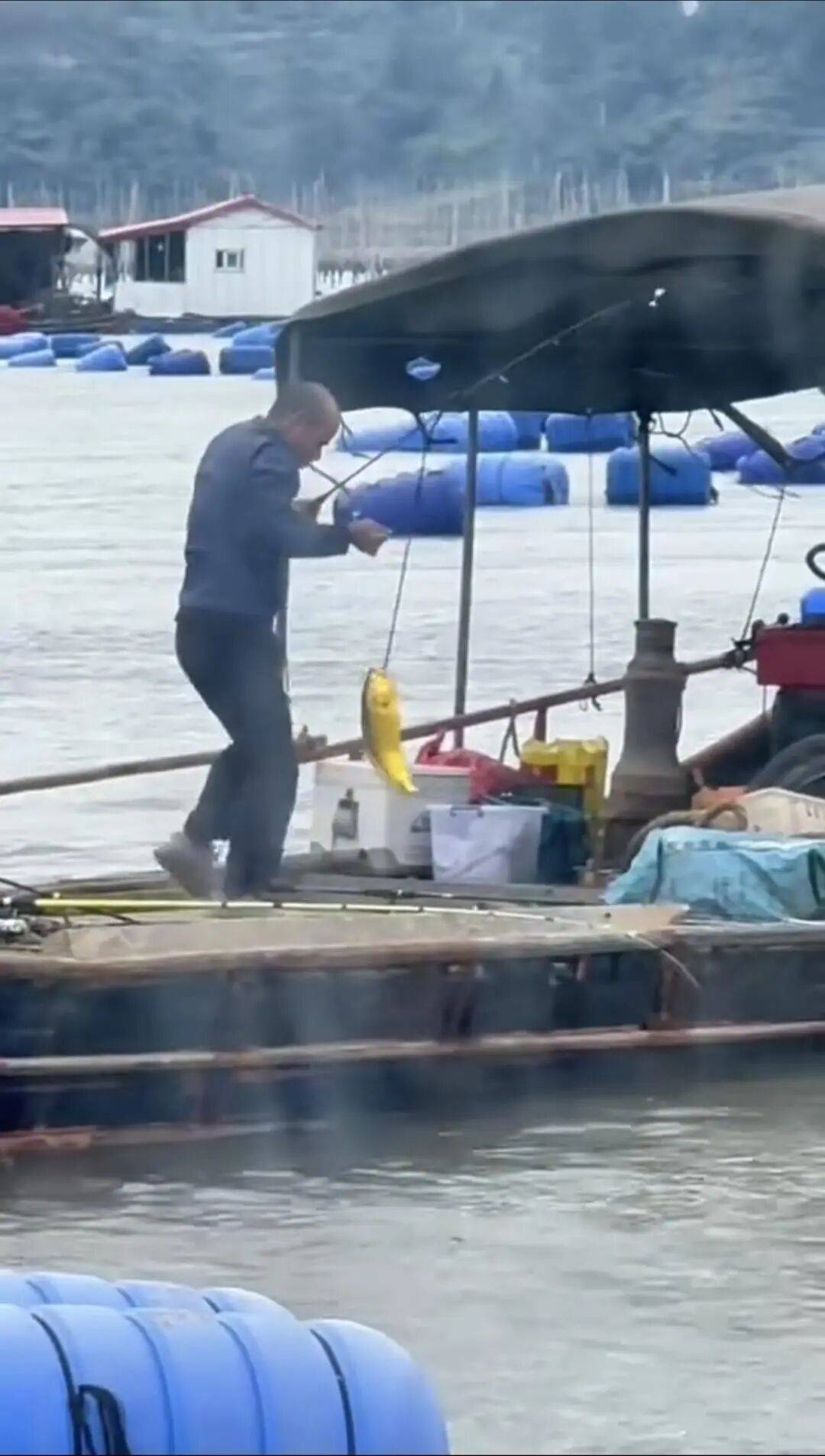 福建大爷海上钓起一条“黄金鱼”<strong></p>
<p>以太坊交易官网</strong>，引得围观群众“哇声一片”，有人估算一条能卖2万多