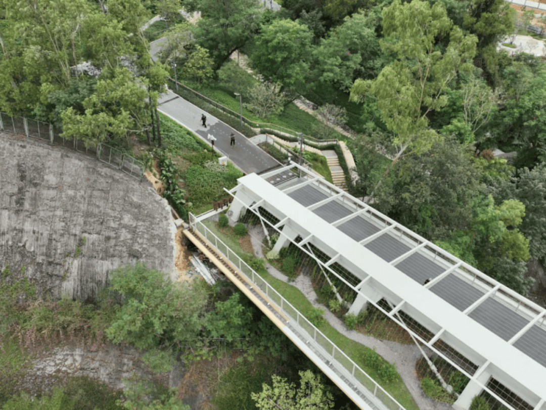 官宣！深圳山海连城又添两“新成员”<strong></p>
<p>泰达币</strong>，八大公园要“串”起来了