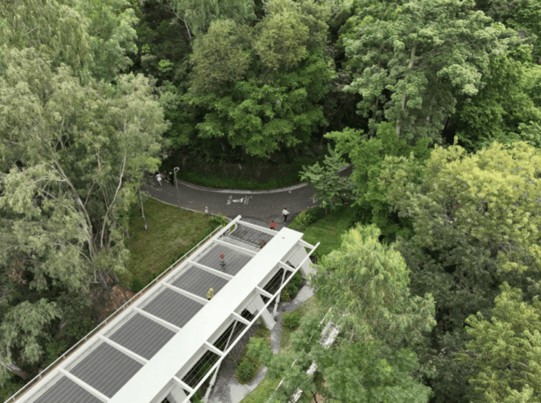 官宣！深圳山海连城又添两“新成员”<strong></p>
<p>泰达币</strong>，八大公园要“串”起来了