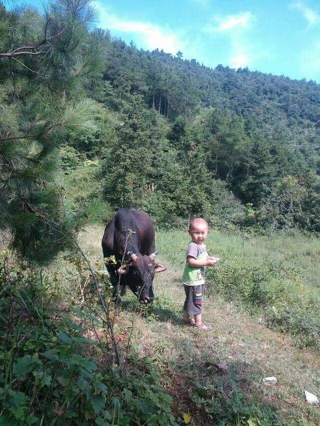 娄底14岁初中生作文看哭全网<strong></p>
<p>泰达币</strong>，得知爆火首先看恶评，回应用AI质疑：算是另一种夸奖