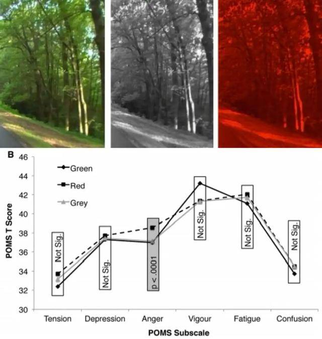 年代剧的墙<strong></p>
<p>XRP交易官网</strong>,为什么都是上白下绿?