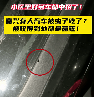 汽车被虫子啃得都是窟窿<strong></p>
<p>XRP交易官网</strong>，“一边咬一边往里钻”！很多人中招