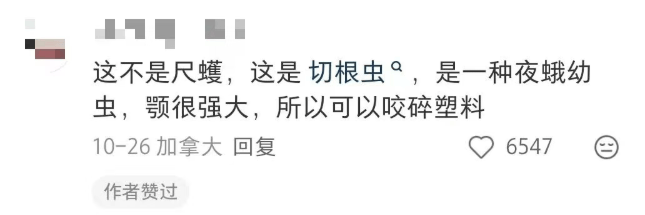 汽车被虫子啃得都是窟窿<strong></p>
<p>XRP交易官网</strong>，“一边咬一边往里钻”！很多人中招