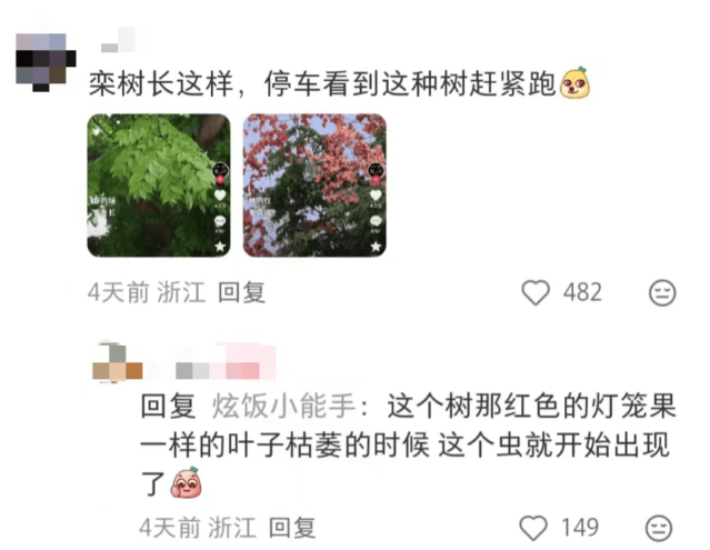 汽车被虫子啃得都是窟窿<strong></p>
<p>XRP交易官网</strong>，“一边咬一边往里钻”！很多人中招