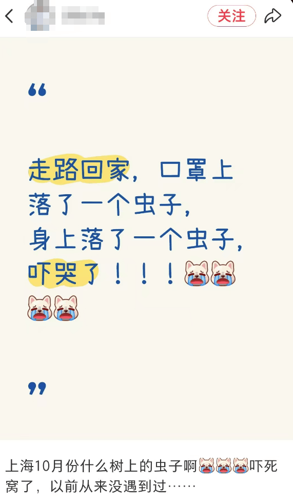 汽车被虫子啃得都是窟窿<strong></p>
<p>XRP交易官网</strong>，“一边咬一边往里钻”！很多人中招