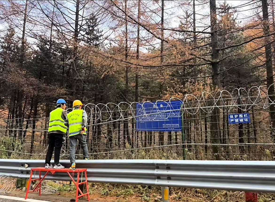 西安秦岭保护区铁网上装带刺铁丝环引争议<strong></p>
<p>DOT交易官网</strong>，当地：为阻止违规穿越，因安全问题已撤掉