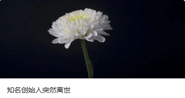 跨境网赌头目佘智江（湖南出生<strong></p>
<p>波卡币交易官网</strong>，后获柬埔寨国籍），被引渡回中国