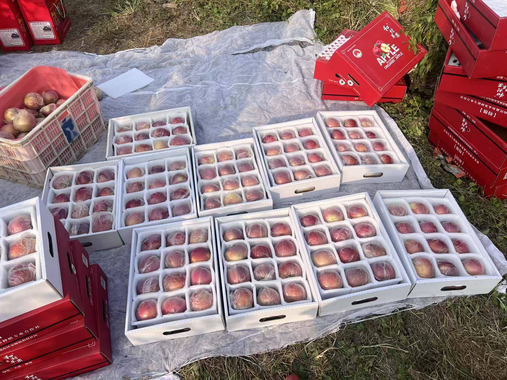 “淮北为啥不种橘子<strong></p>
<p>BNB交易官网</strong>？”果农：因为我们有更甜的王牌