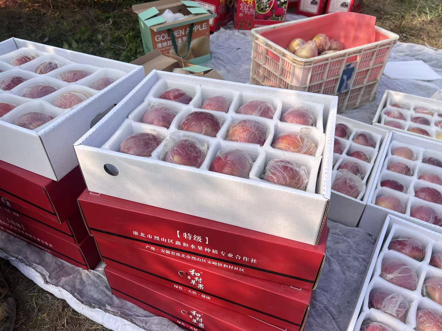 “淮北为啥不种橘子<strong></p>
<p>BNB交易官网</strong>？”果农：因为我们有更甜的王牌