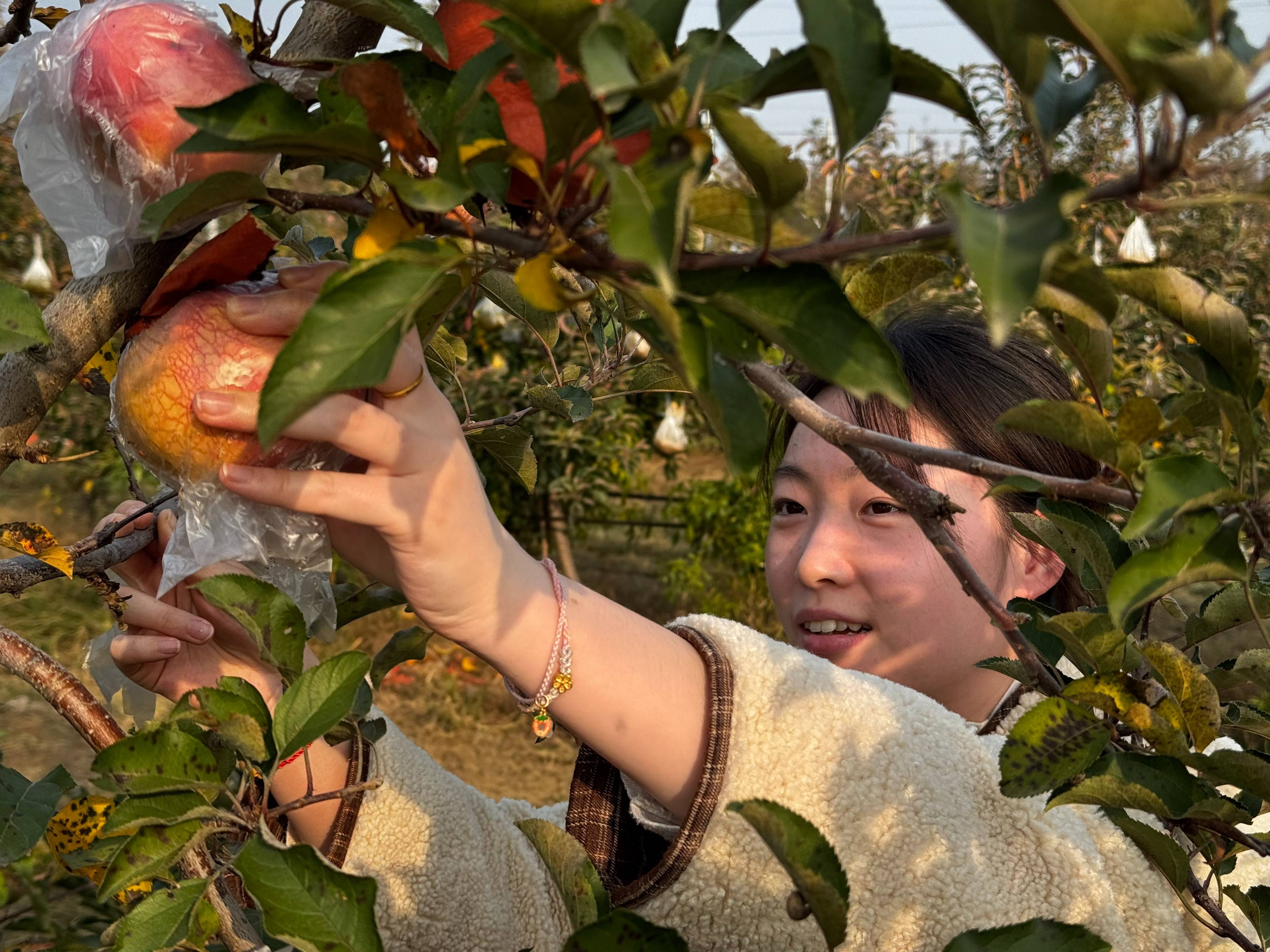 “淮北为啥不种橘子<strong></p>
<p>BNB交易官网</strong>？”果农：因为我们有更甜的王牌