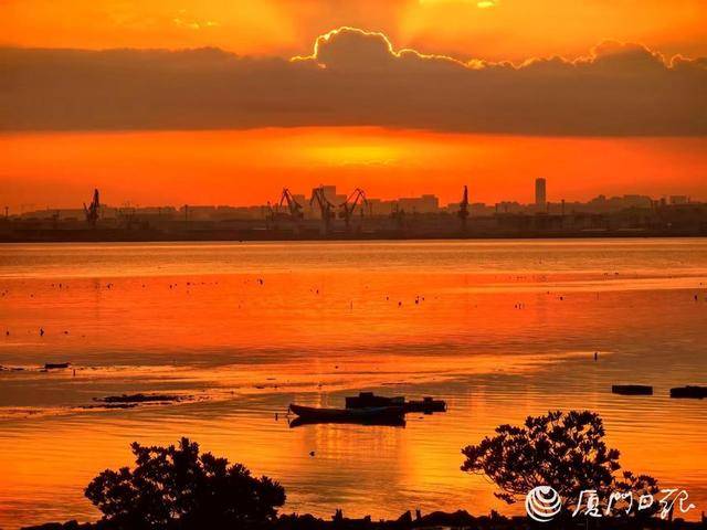 冷空气今夜抵厦 气温降风力大