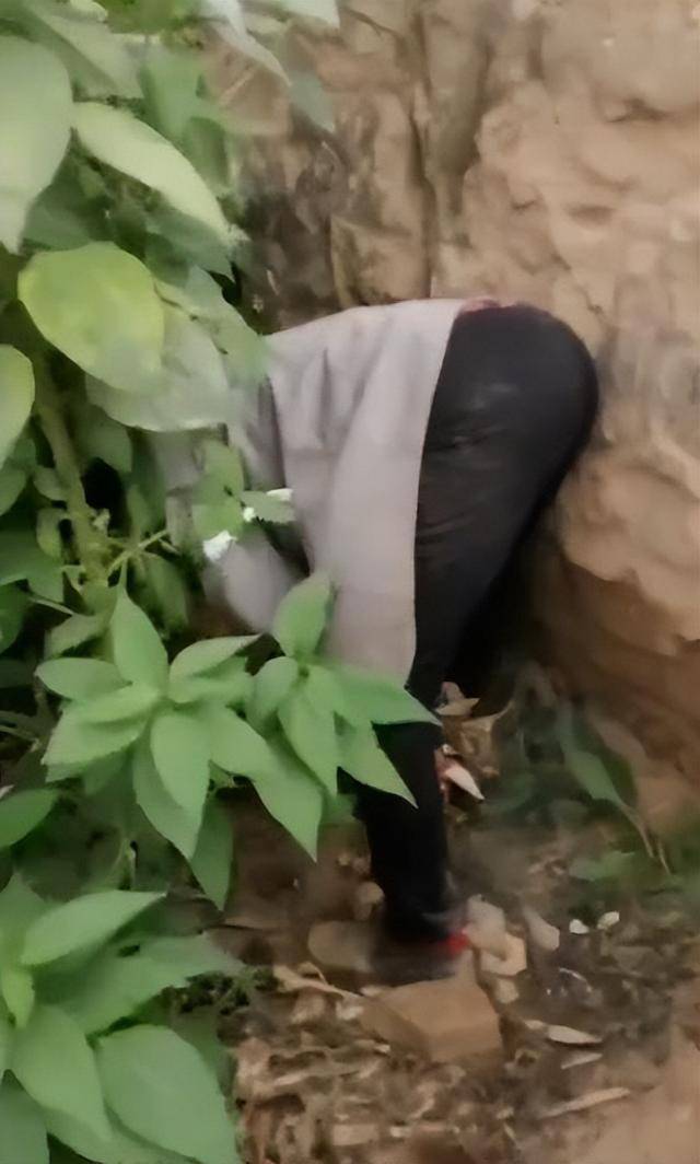 女子疑因拍亲姑姑偷玉米遭姑父棍杀<strong></p>
<p>BCH交易官网</strong>,邻居欲报警也遇害