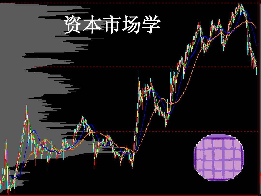 资本市场证券(资本市场证券包括)