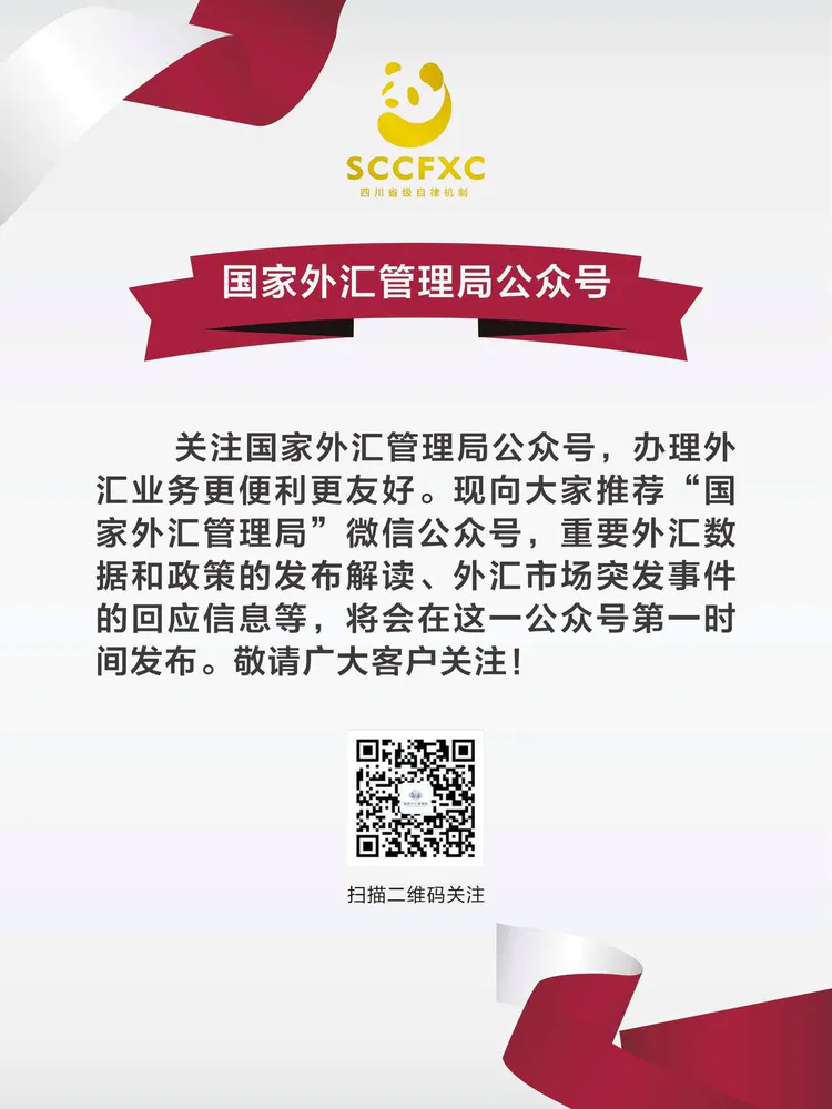 外汇政策宣传(外汇政策宣传童谣)