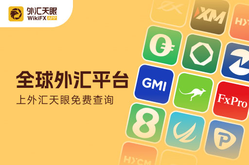 国内外汇交易平台(国内炒外汇用哪个平台)
