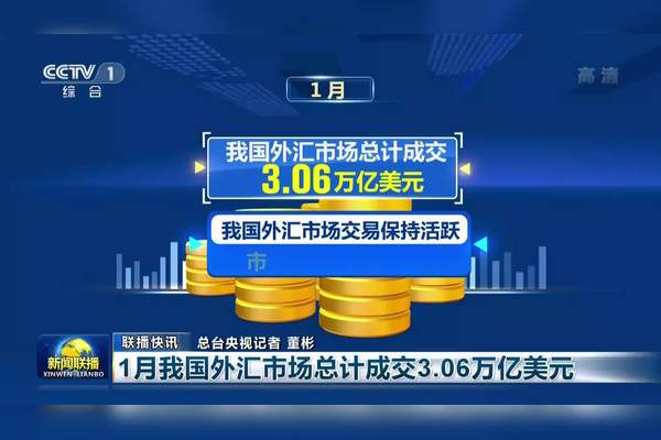 我国的外汇市场(我国的外汇市场由谁负责监管)