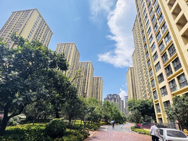 汇和外汇(外汇的汇是什么意思)