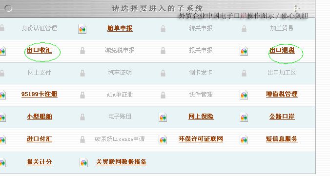 国家外汇申报平台(国家外汇申报平台入口)